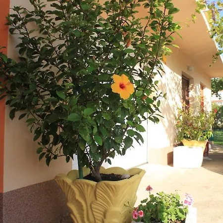 8478a Appartamento